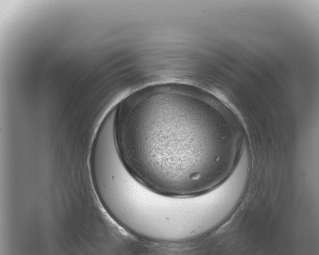 X0000064741189200602131308