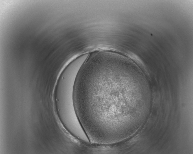 X0000064741190200602131308