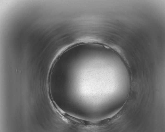 X0000064741191200602131308