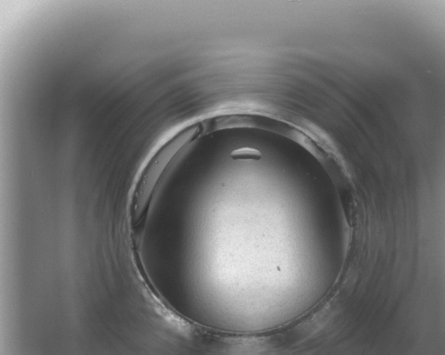 X0000064741192200602131308