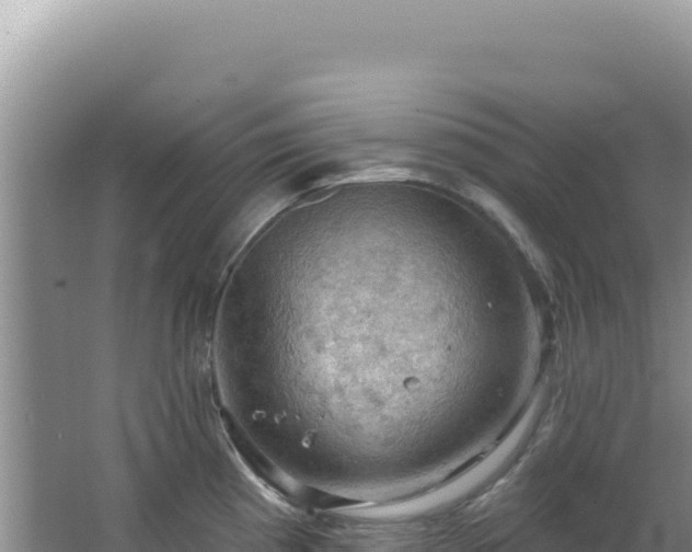 X0000064741193200602131308