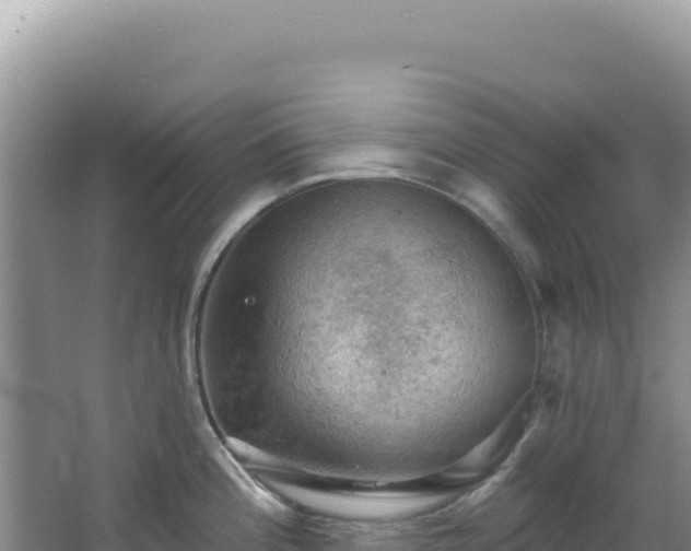 X0000064741196200602131308