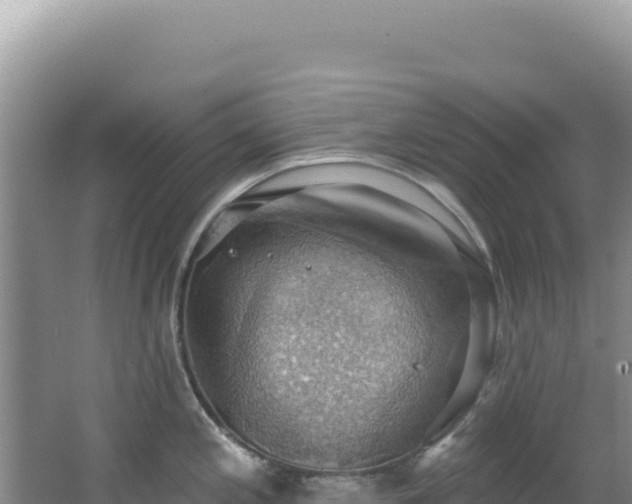 X0000064741197200602131308