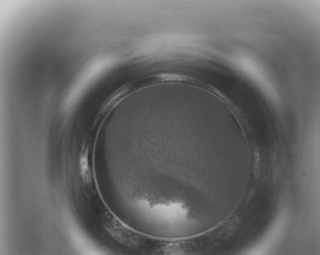 X0000064741198200602131308