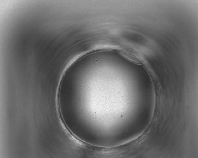 X0000064741199200602131308