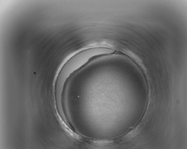 X0000064741200200602131308