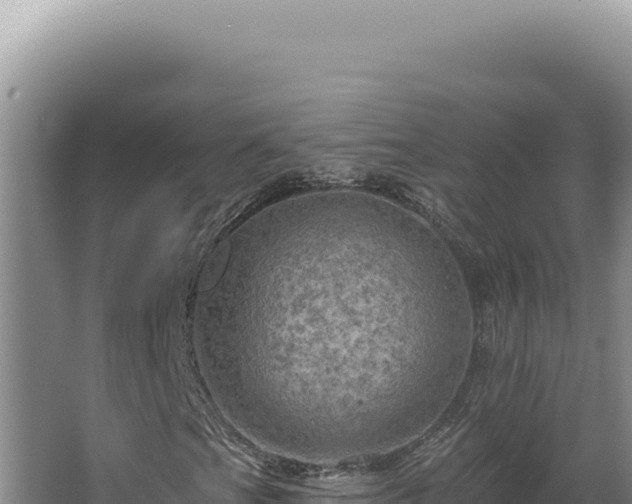 X0000064741201200602131307