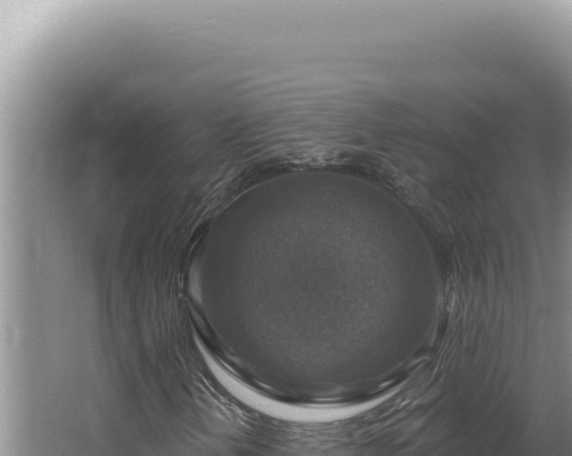 X0000064741202200602131307