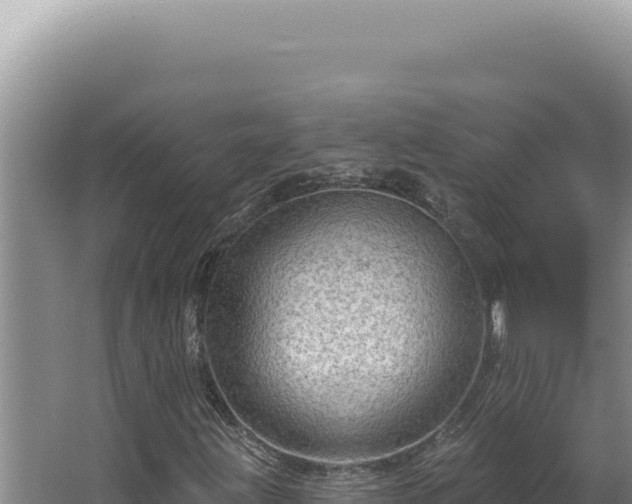 X0000064741203200602131307