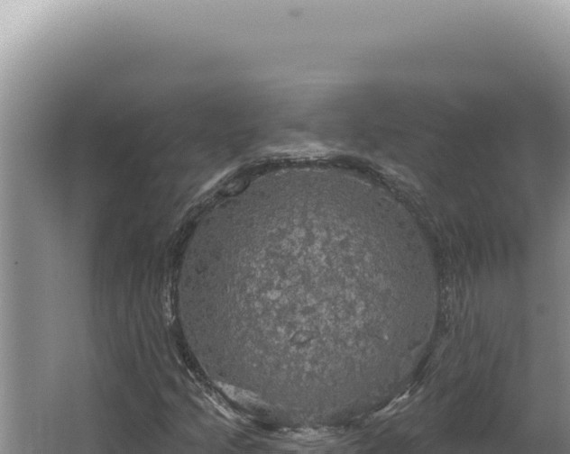 X0000064741205200602131307