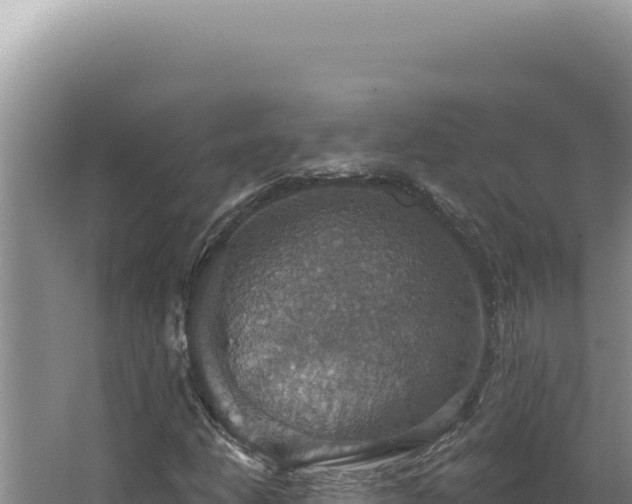 X0000064741206200602131307