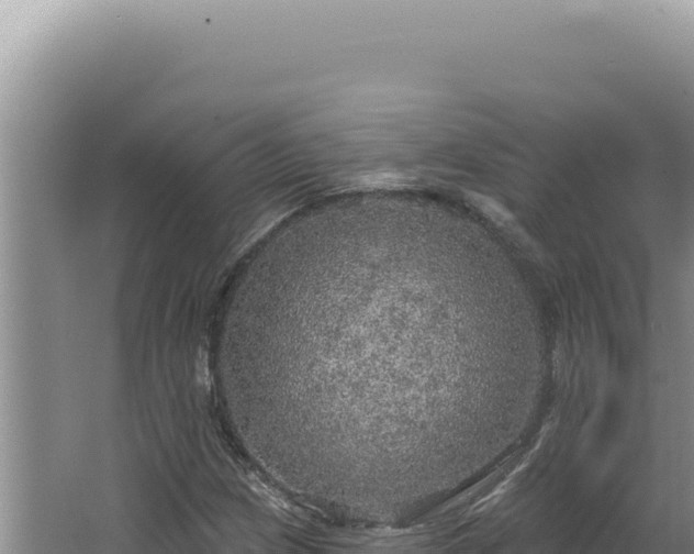 X0000064741209200602131307