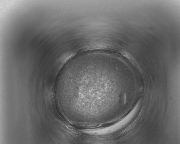 X0000064741210200602131307