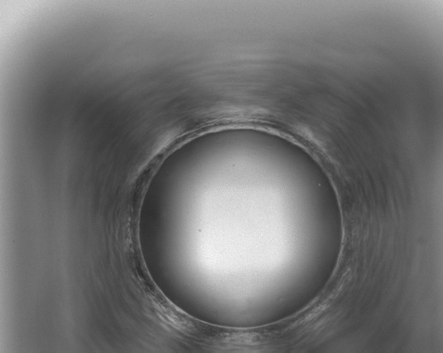 X0000064741211200602131307