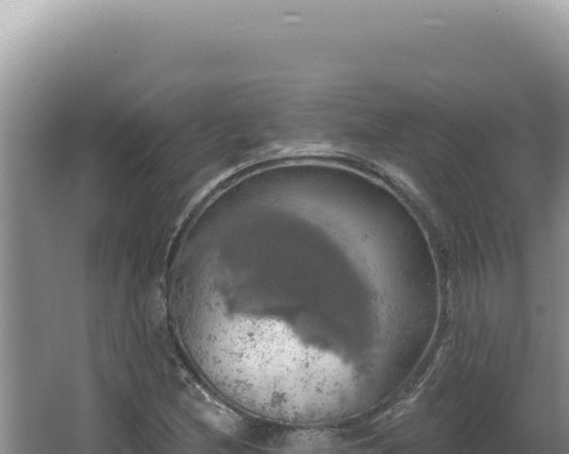 X0000064741212200602131307