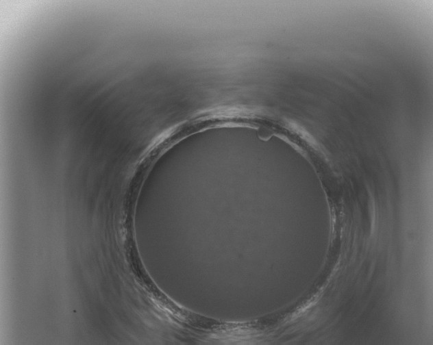 X0000064741213200602131307