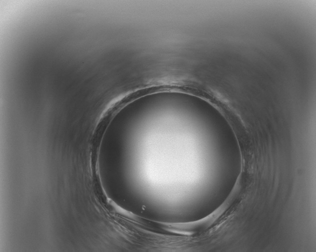 X0000064741214200602131307