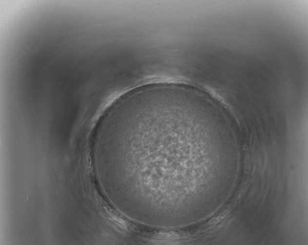 X0000064741215200602131307