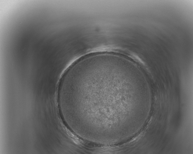 X0000064741216200602131307