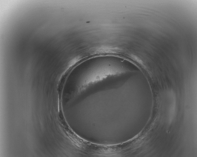 X0000064741219200602131307