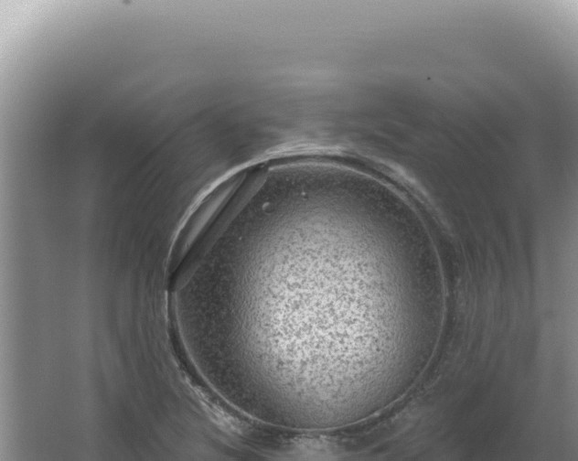 X0000064741220200602131307