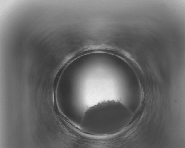 X0000064741221200602131307