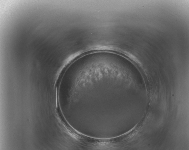 X0000064741223200602131307