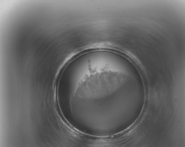 X0000064741224200602131307