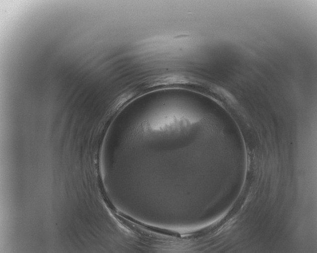 X0000064741225200602131307