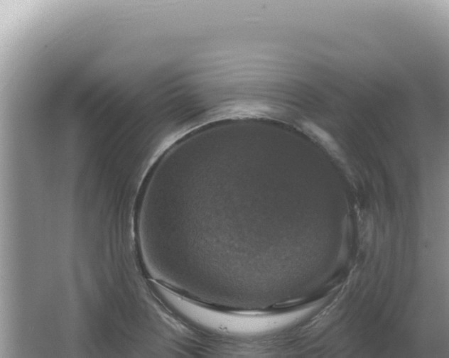 X0000064741226200602131307