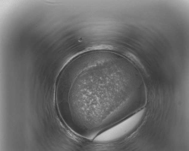 X0000064741228200602131307