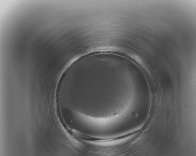 X0000064741229200602131307