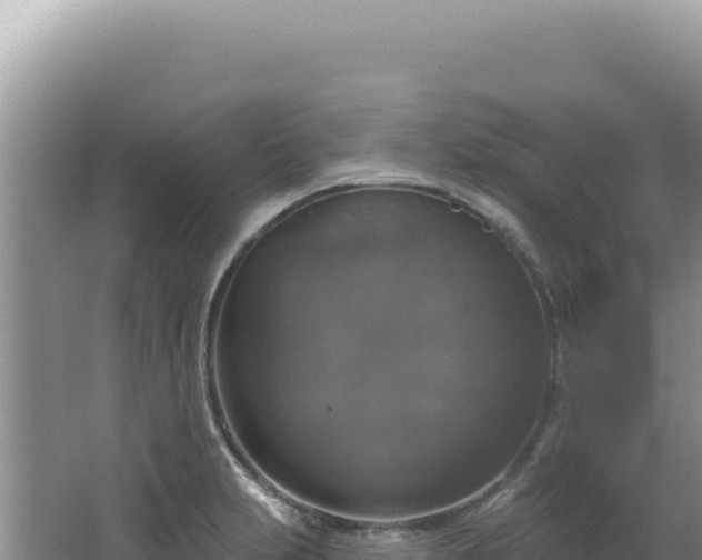 X0000064741231200602131308