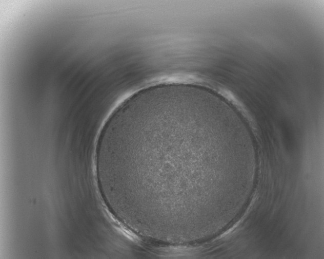 X0000064741232200602131308