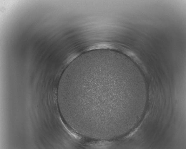 X0000064741233200602131308