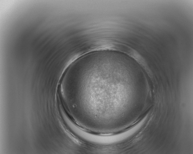 X0000064741234200602131308