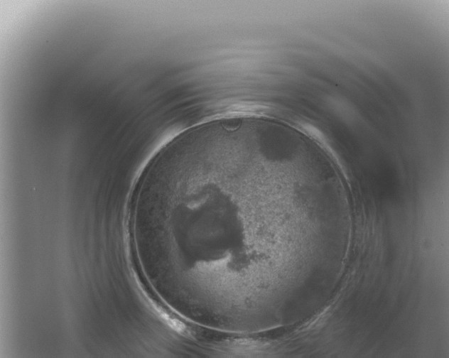 X0000064741235200602131308