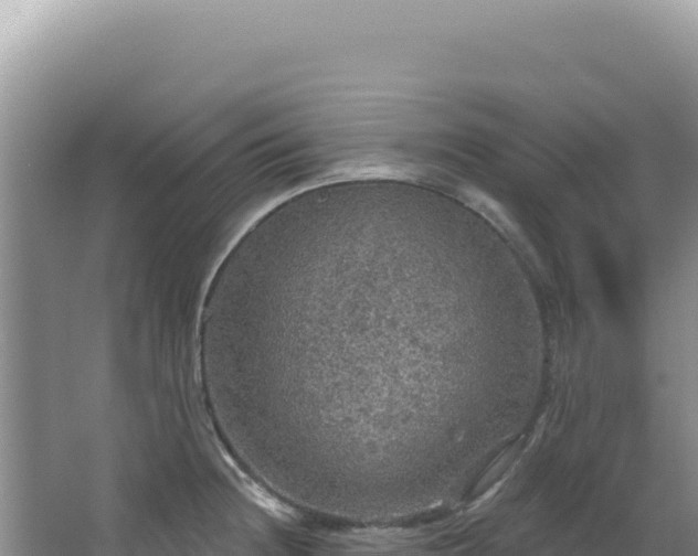 X0000064741236200602131308