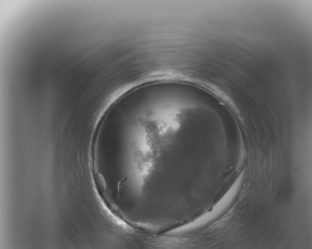 X0000064741239200602131308