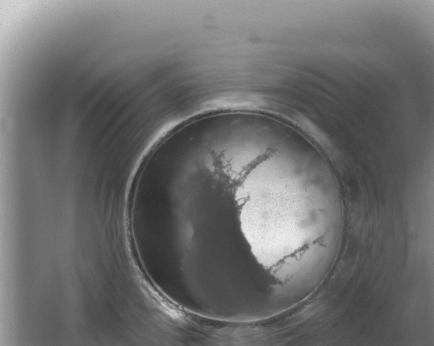 X0000064741240200602131308