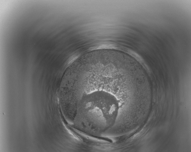 X0000064741241200602131308