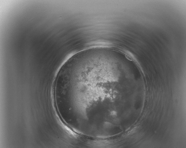 X0000064741243200602131308