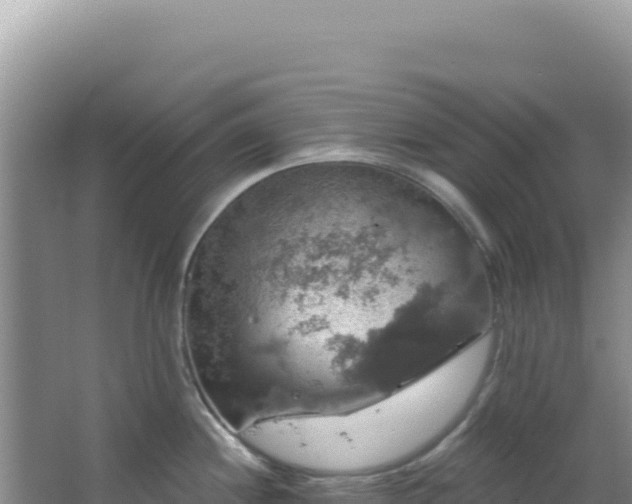 X0000064741244200602131308