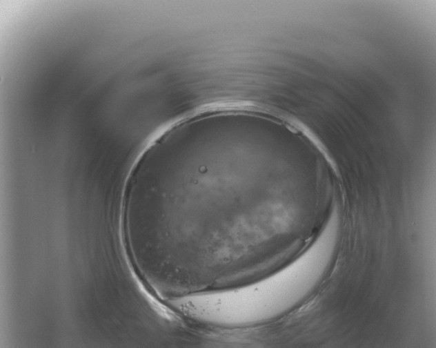 X0000064741245200602131308