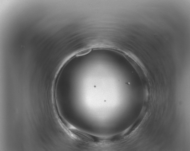 X0000064741246200602131308