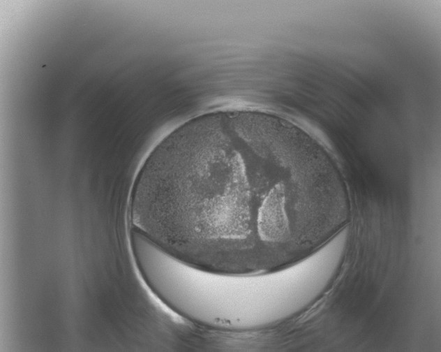 X0000064741247200602131308