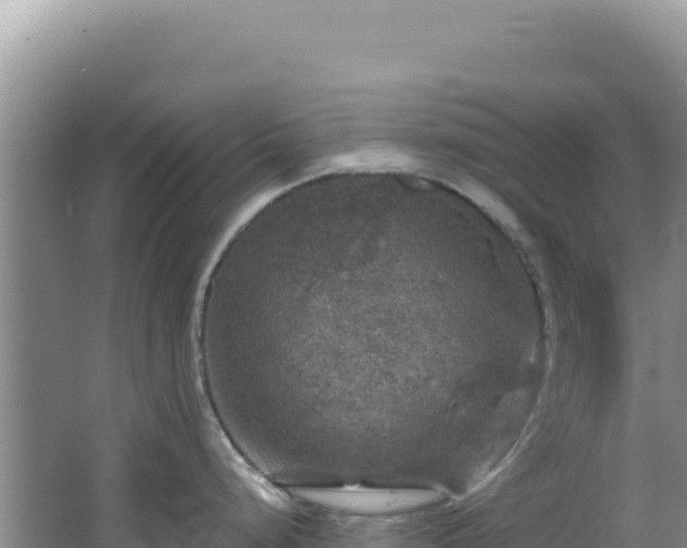 X0000064741248200602131308