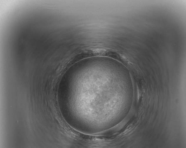 X0000064741249200602131307