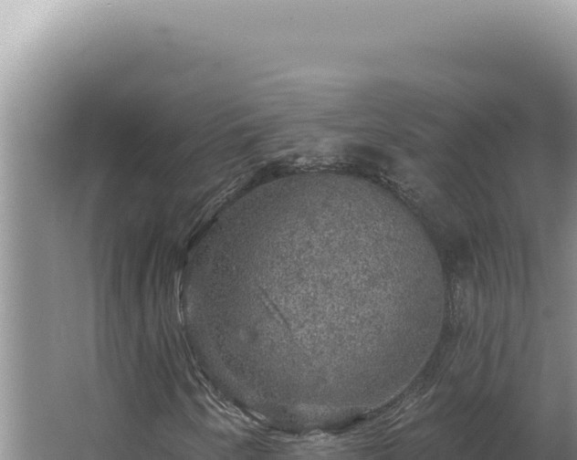 X0000064741250200602131307