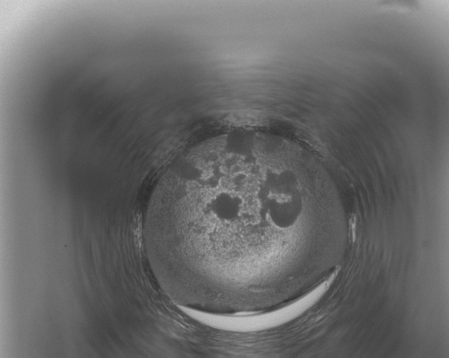 X0000064741251200602131307